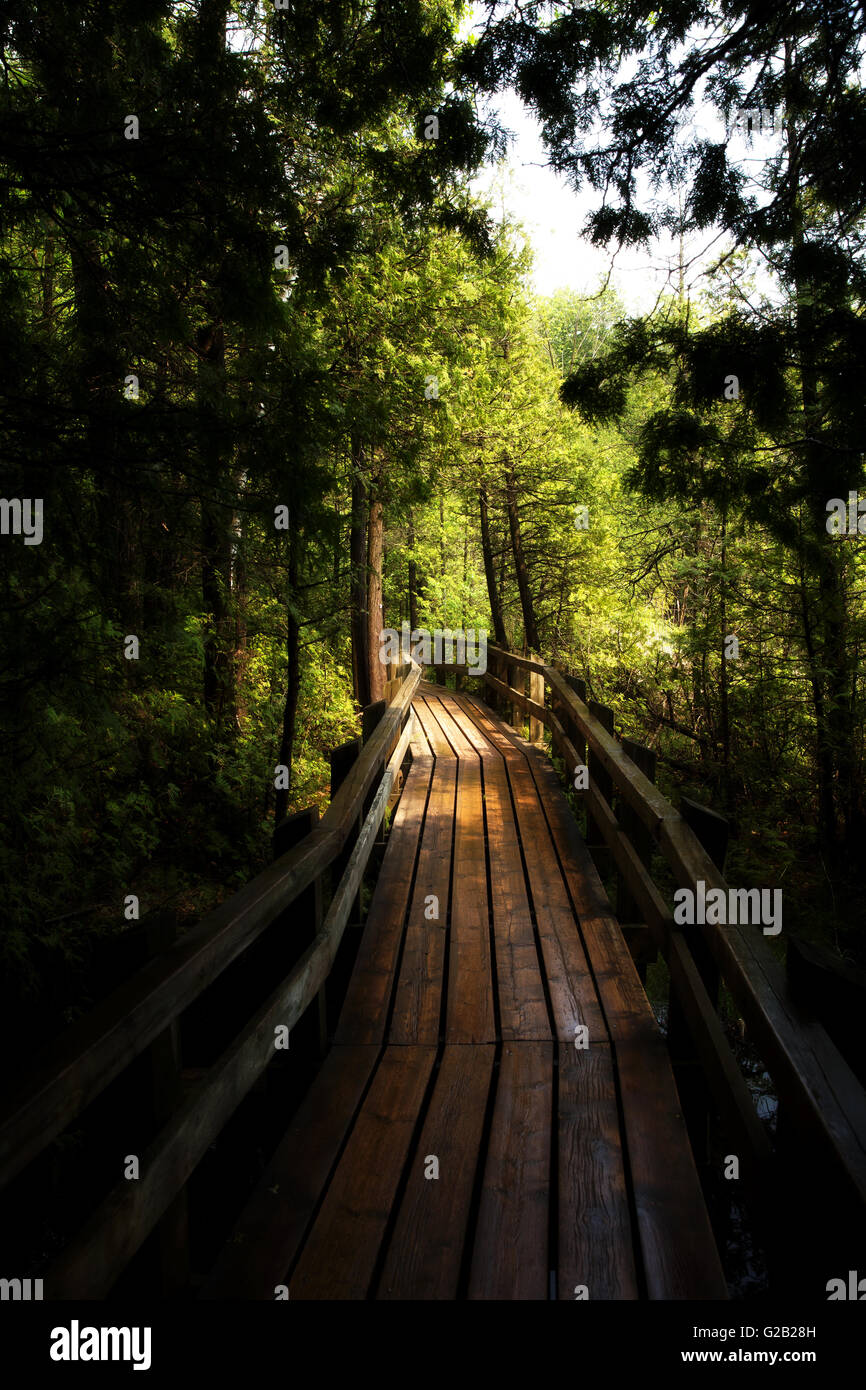 Ponte di Legno Crawford Lago Milton Ontario Foto Stock