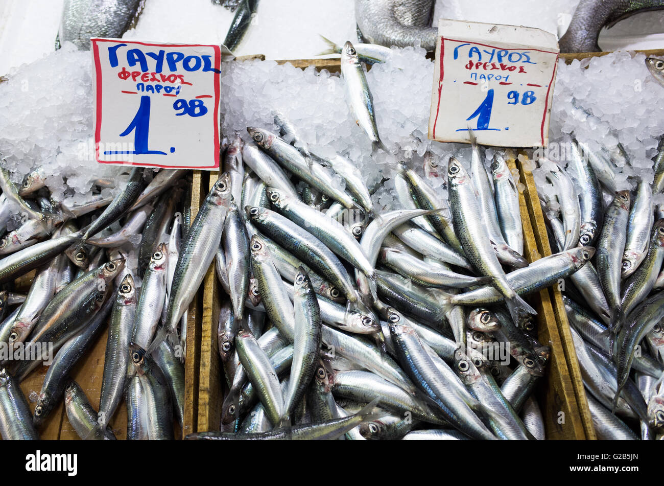 ATENE, Grecia — pesce fresco in vendita presso l'Agorà Dimotiki, nota anche come Agorà Varvakios, nel centro di Atene. Il mercato è il più grande mercato al dettaglio di cibo fresco della città, con file di bancarelle di pesce e frutti di mare al centro. Il Dimotiki Agora è una destinazione popolare sia per la gente del posto che per i turisti, offrendo uno sguardo alla cultura e al commercio tradizionali della cucina greca. Foto Stock