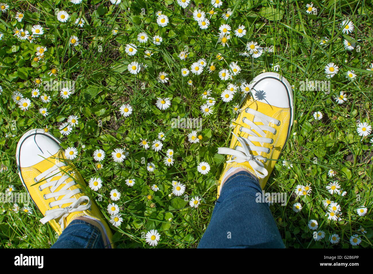 Sneakers giallo in un campo dasiy. Prima persona punto di vista Foto Stock