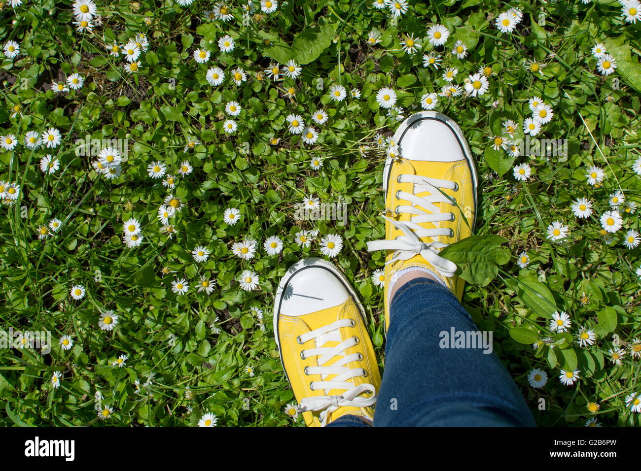 Sneakers giallo in un campo dasiy. Prima persona punto di vista Foto Stock