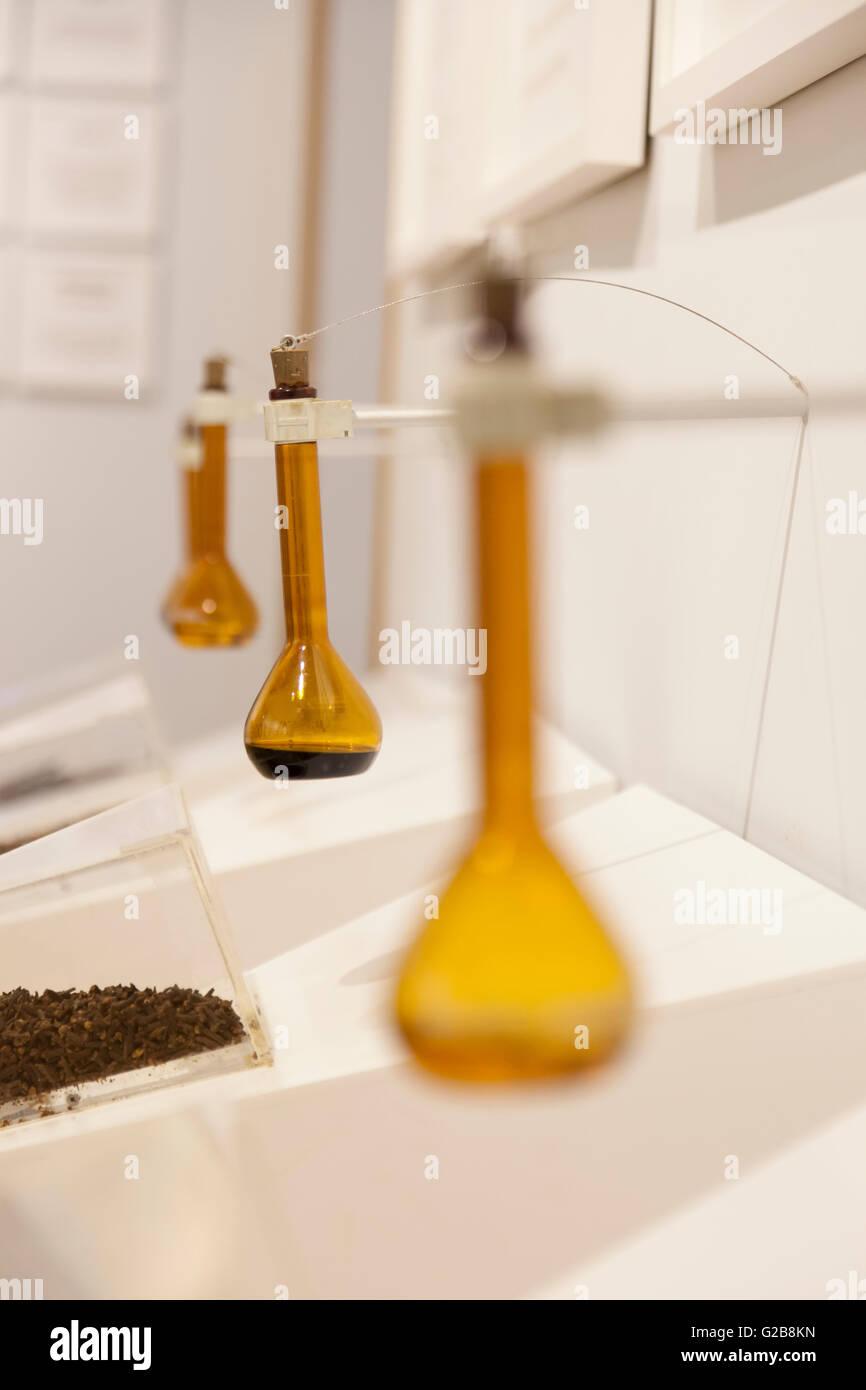 Astorga, Spagna: Flaconcini di estratto sul display per le origini del cacao - camera presso El Museo del cioccolato. Foto Stock