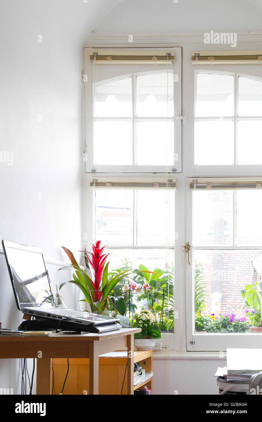 Inglewood Road, West Hampstead. Chiudere la vista di un moderno computer desk accanto a una finestra. Vista di fiori attraverso la finestra. Foto Stock
