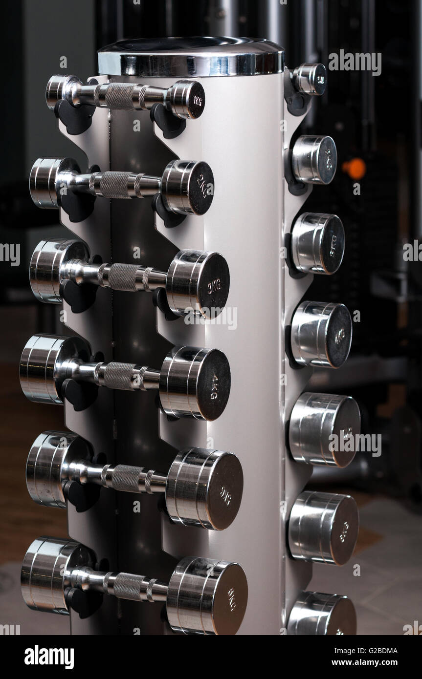 Cavalletto con manubri cromati in una palestra di allenamento indoor  attività Foto stock - Alamy
