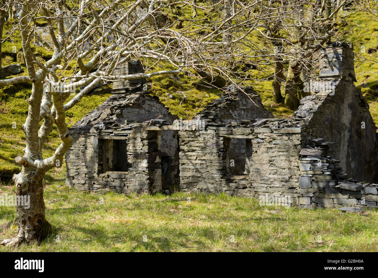 Un isolato di ardesia in disuso cavatore's cottage a Dinorwic cava di ardesia, Snowdonia. Foto Stock