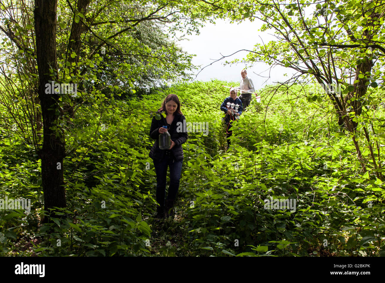 Gli studenti di biologia in escursione alla riserva naturale nel Basso Reno. Foto Stock