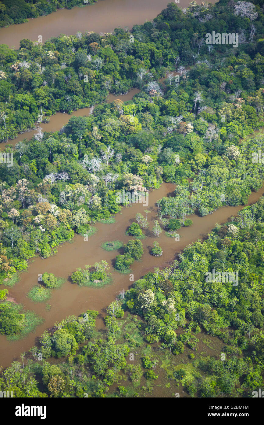 Vista aerea della foresta pluviale amazzonica Manaus, Amazonas, Brasile Foto Stock