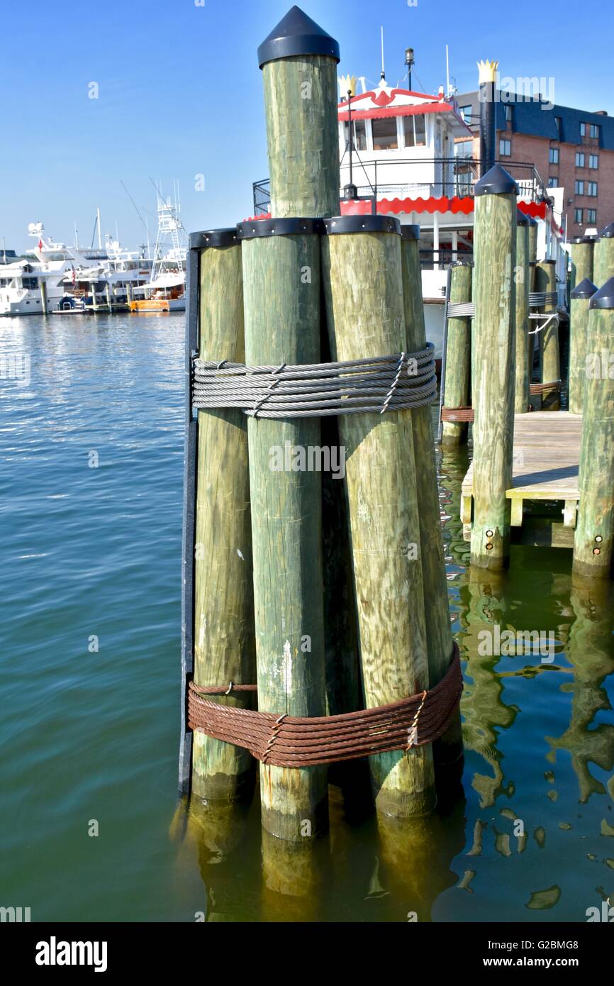 Grandi pali di legno nella baia per supportare la barca ormeggiata nel porto di Annapolis Foto Stock