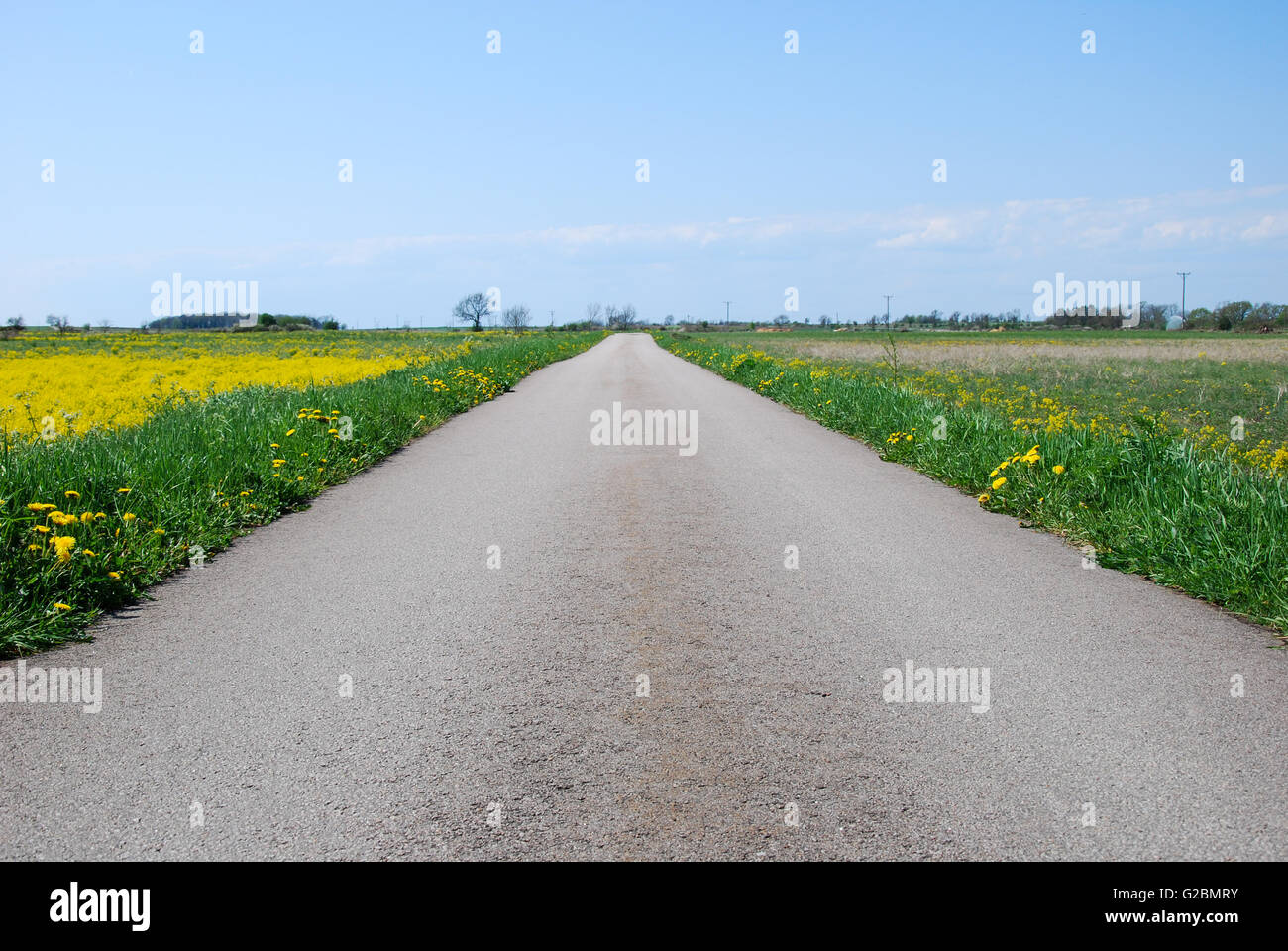 Strada di campagna in una molla rurali paesaggio colorato Foto Stock