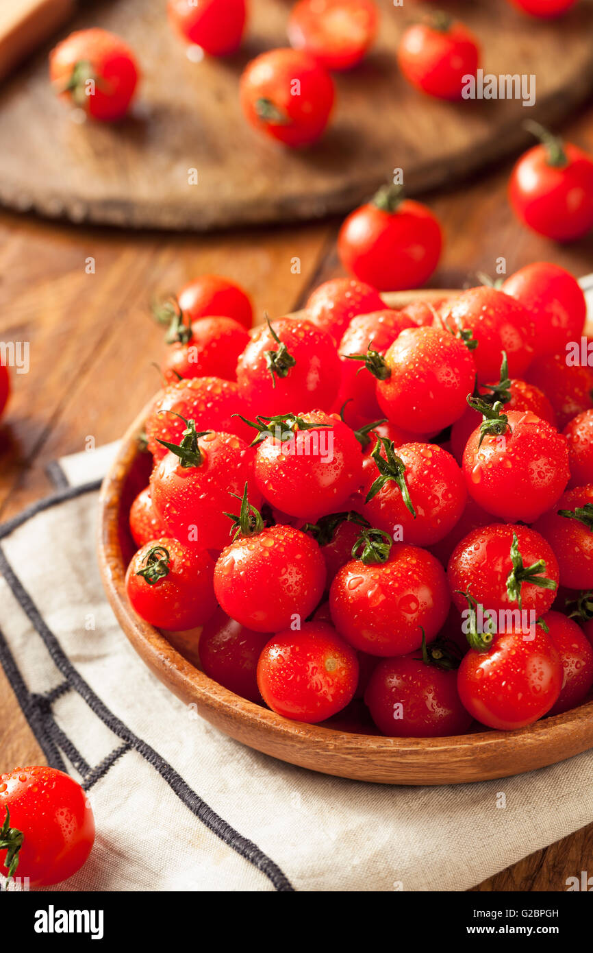 Materie organiche ciliegio rosso pomodoro pronto a mangiare Foto Stock