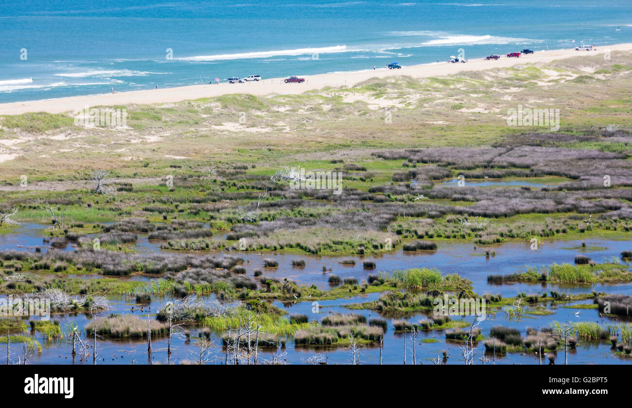 Vista di Cape Hatteras sulla Outer Banks di NC con veicoli 4WD sulla spiaggia e aironi e altri uccelli di palude. Foto Stock