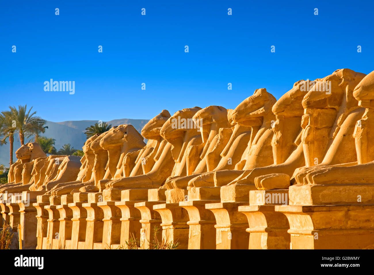 Il Viale degli arieti al Tempio di Karnak a Luxor Foto Stock