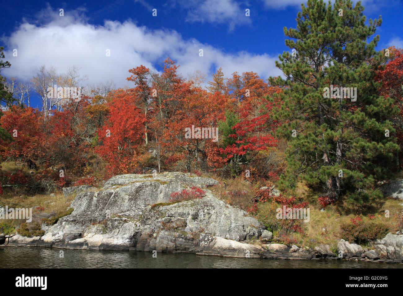 Boschi di querce e di alberi di acero mostrano la loro caduta colore nella baia di perso Kabetogama, Lago, Parco nazionale Voyageurs, Minnesota, Stati Uniti d'America Foto Stock