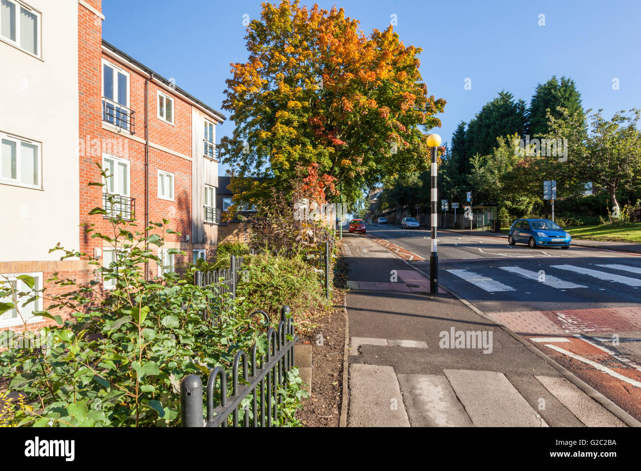 Autunno vista lungo Woodborough Road, St Ann's, Nottingham, Inghilterra, Regno Unito Foto Stock