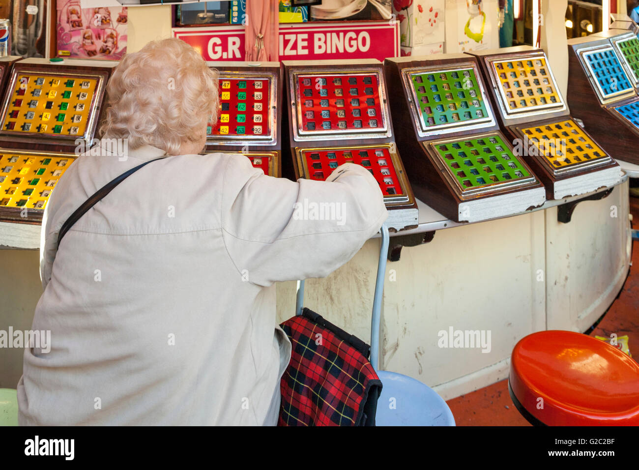 Donna giocando a bingo in fiera d'oca, Nottingham, Inghilterra, Regno Unito Foto Stock