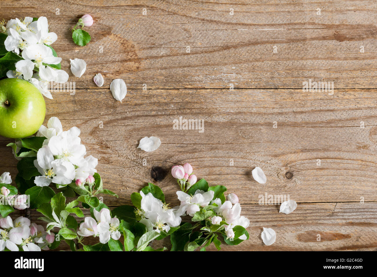Sfondo di legno con Apple Blossom fiori. Fiori e verde mela su legno rustico sfondo. Copia spazio per il testo Foto Stock