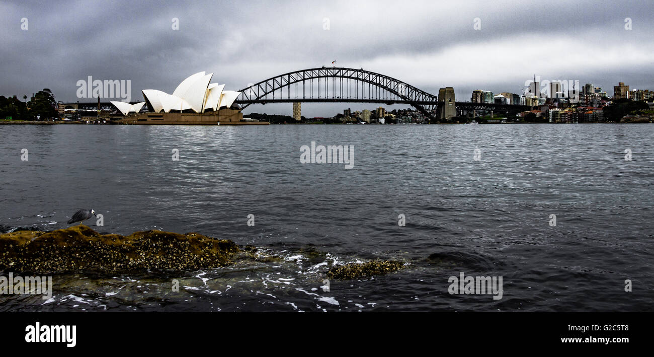 Sydney Opera House e del ponte Foto Stock