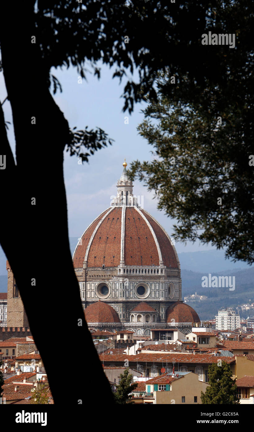 CUPOLA DEL BRUNELLESCHI, la celebre cupola del Brunelleschi è la