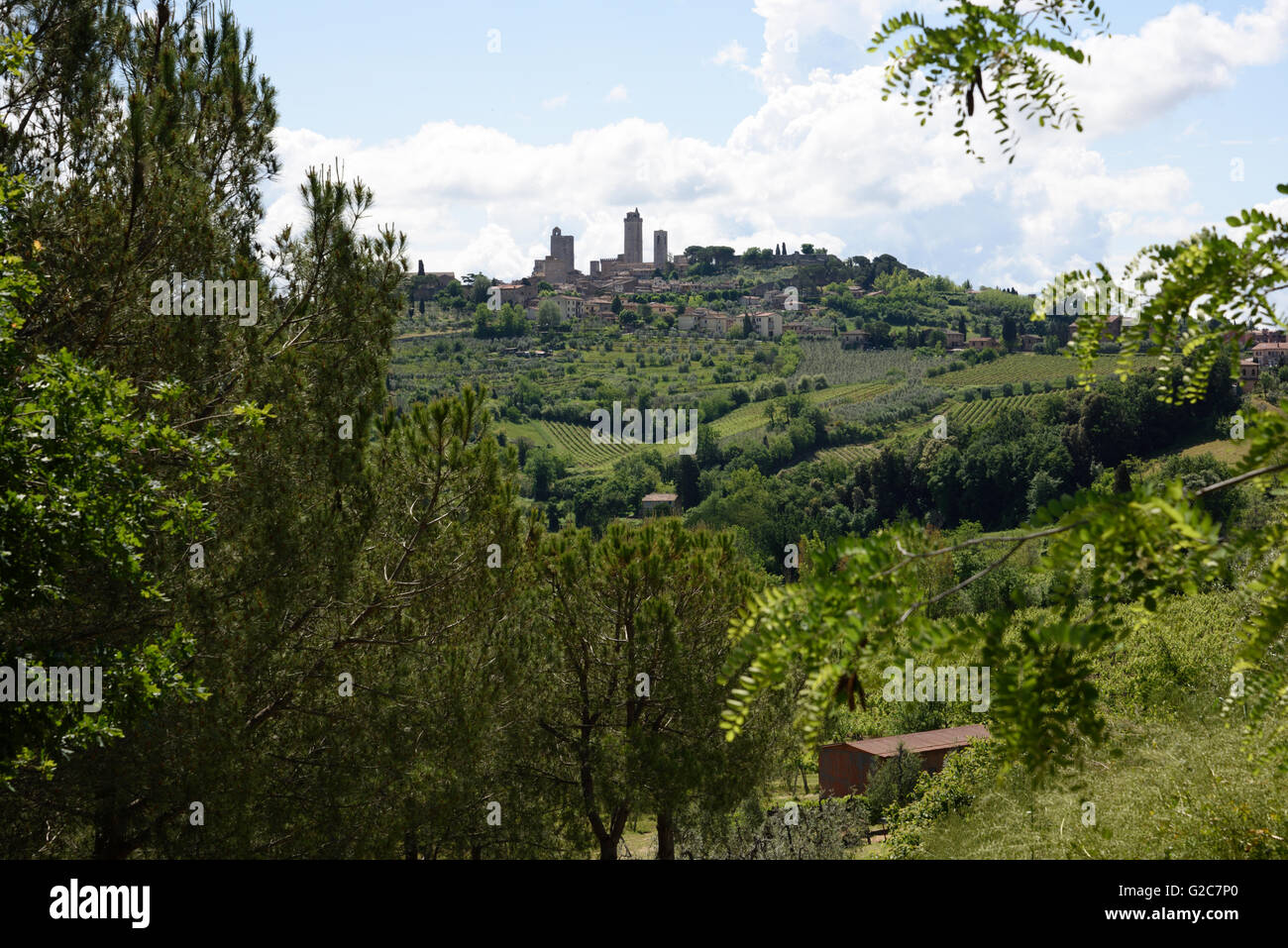 I negozi e gli amanti dello shopping nella fortificata città medievale di San Gimignano in Toscana. Foto Stock