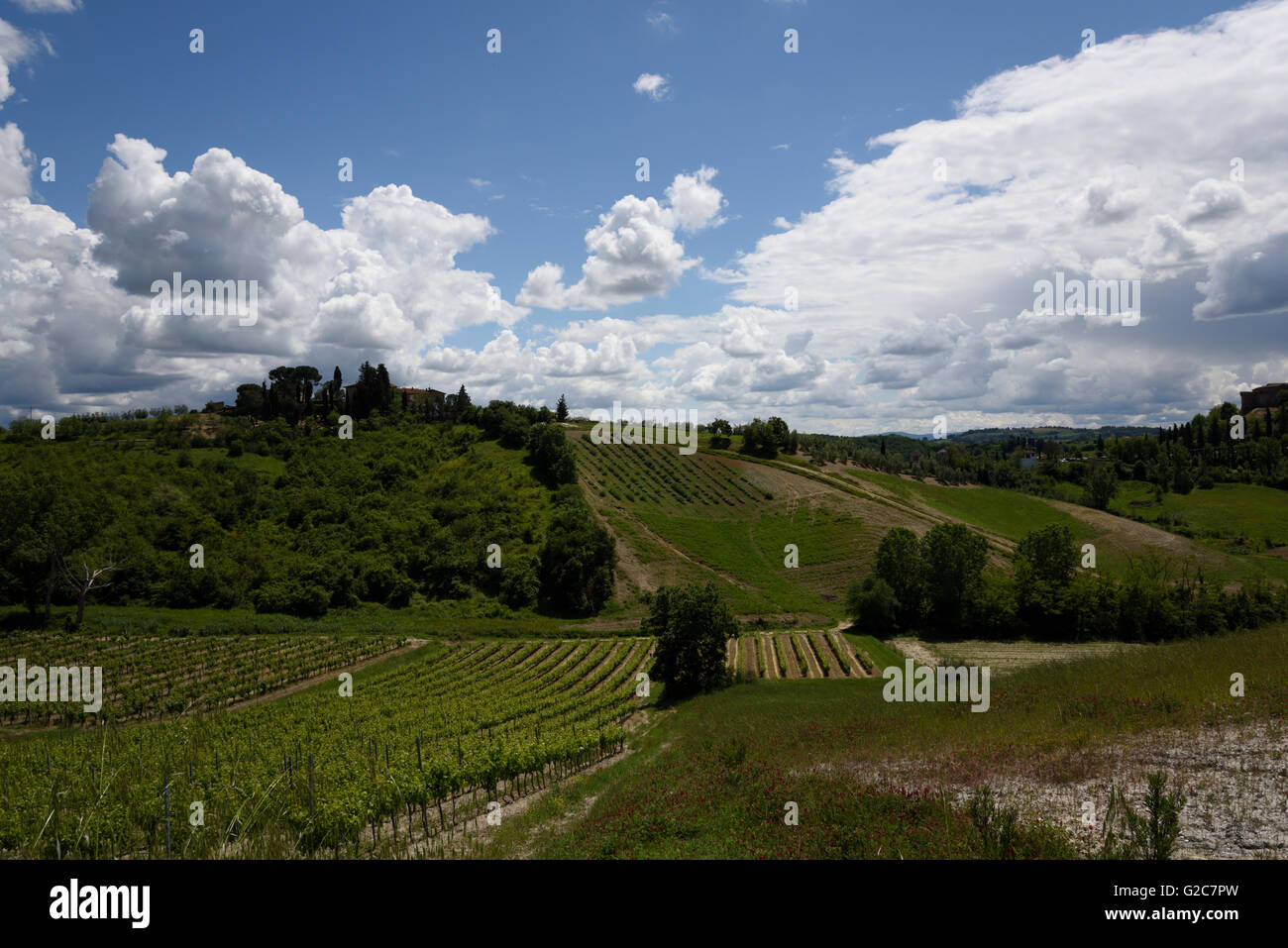 I negozi e gli amanti dello shopping nella fortificata città medievale di San Gimignano in Toscana. Foto Stock