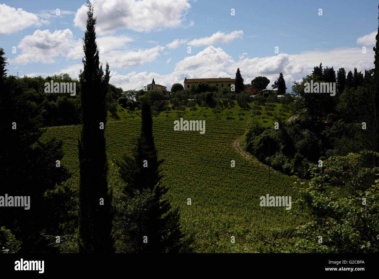 I negozi e gli amanti dello shopping nella fortificata città medievale di San Gimignano in Toscana. Foto Stock
