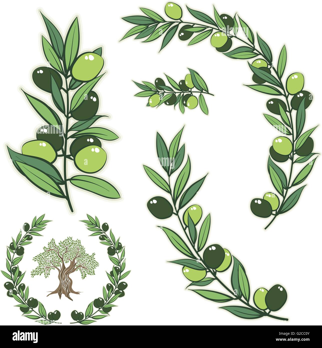 Telaio del vettore con olive branch. Disegnata a mano telaio a cerchio illustrazione con albero di olivo. Illustrazione Vettoriale
