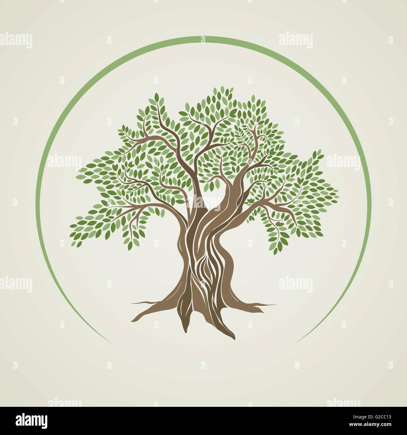 Olive tree vector vectors immagini e fotografie stock ad alta risoluzione -  Alamy