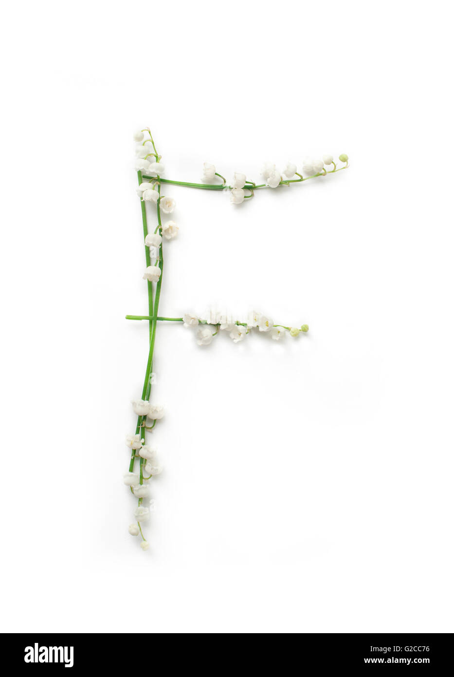 Alfabeto inglese da fiore lettere. creative lettera decorativo F. Foto Stock Alfabeto inglese da fiore lettere. creative lettera decorativo F. Foto Stock