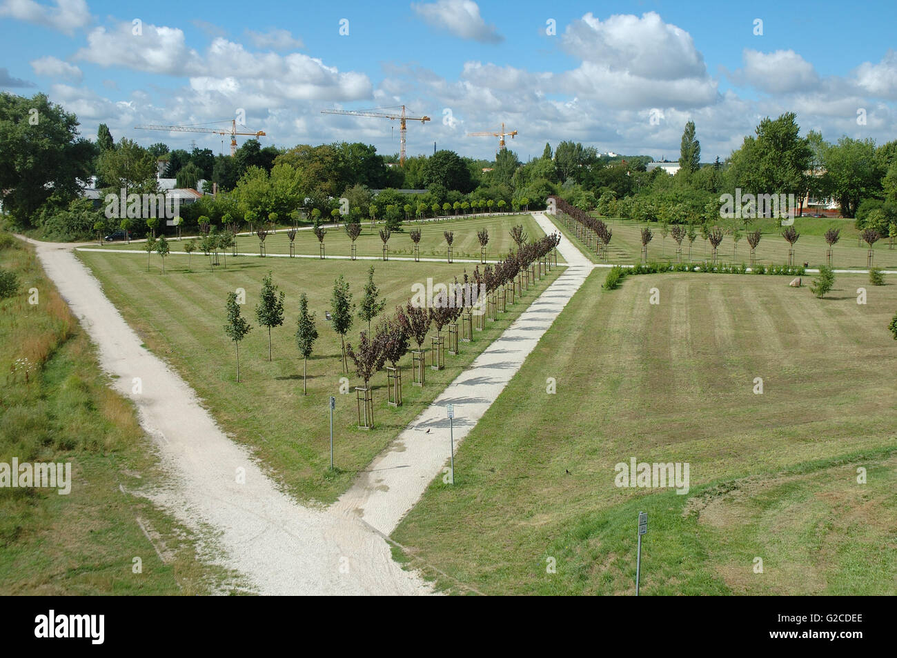 Il sentiero attraversa, alberi e gru in un parcheggio nelle vicinanze del fiume Warta a Poznan, Polonia Foto Stock