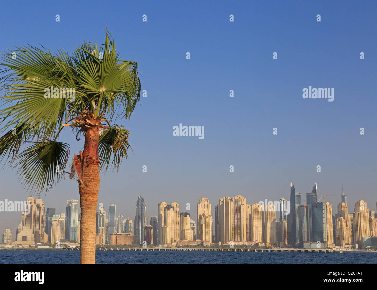 Palm tree su cityscape di Dubai Foto Stock
