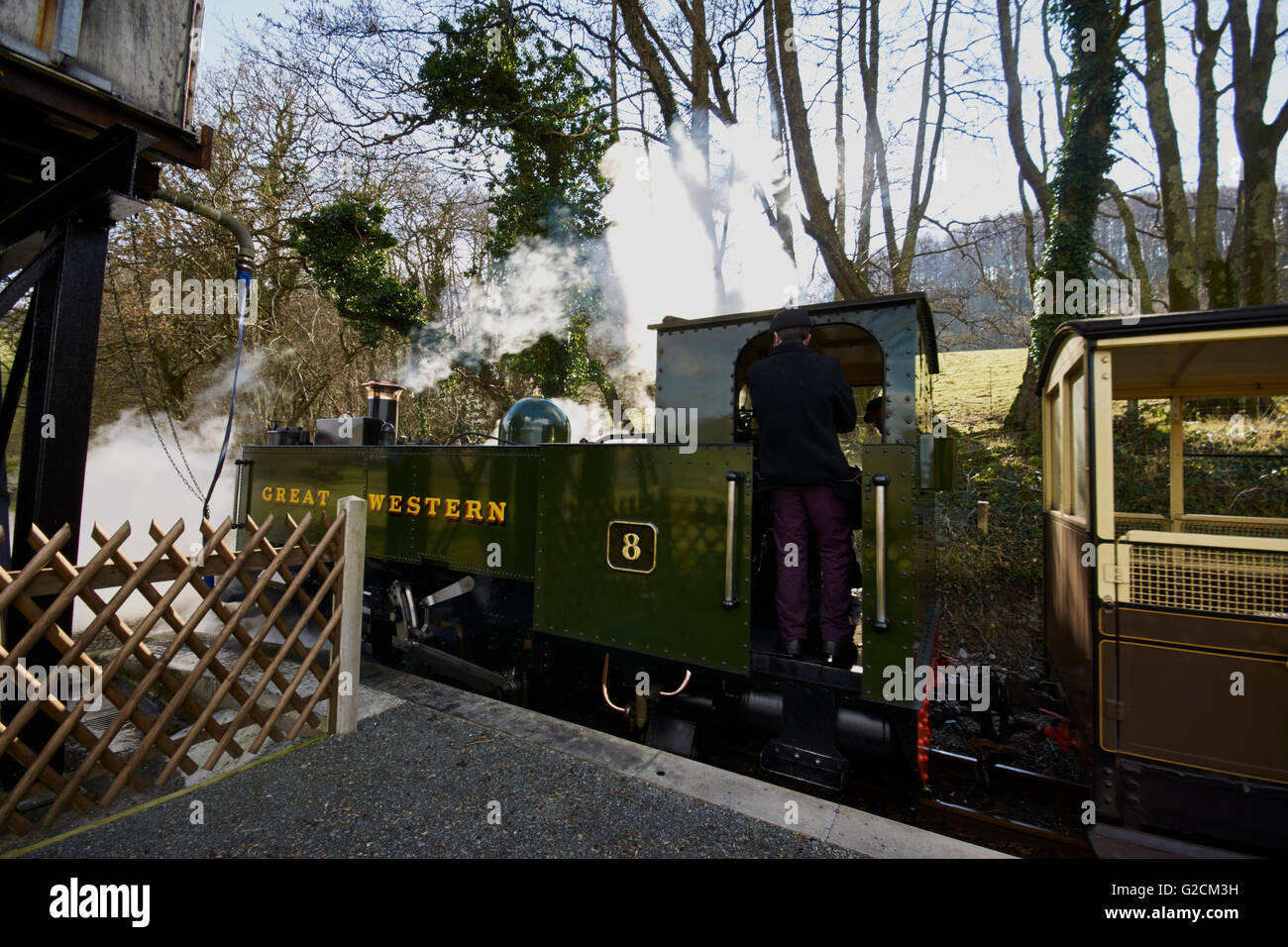 Treno a vapore Aberystwyth per Devils Bridge. Foto Stock