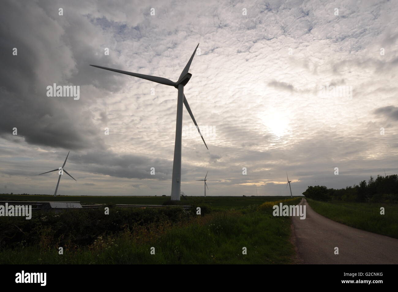 Le turbine eoliche sulla Bicker Fen, guardando ad ovest da OS 197383, Lincolnshire UK Foto Stock