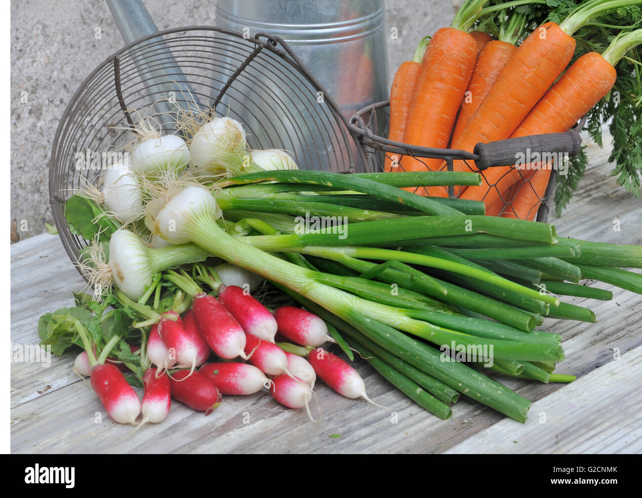 Cipolle, carote e fresche ravanelli su un tavolo Foto Stock