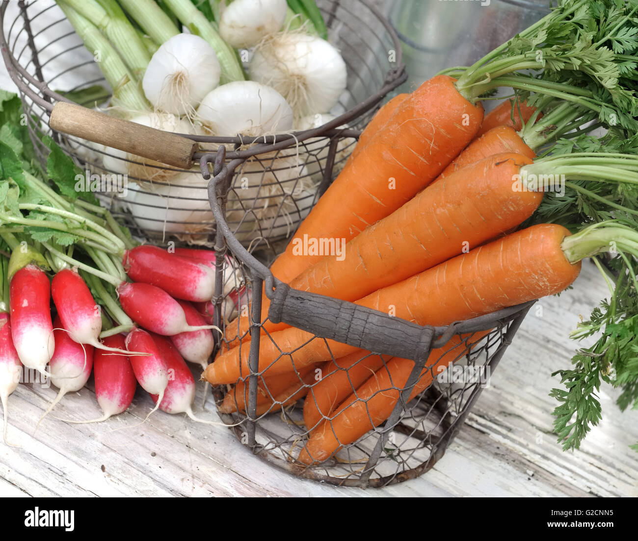 Cesto di carote, cipolle, fresche e ravanelli su tavola Foto Stock