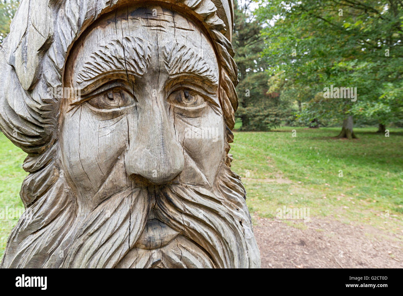 In legno intagliato, testa a Westonbirt Arboretum, Gloucestershire, Enhgland, REGNO UNITO Foto Stock