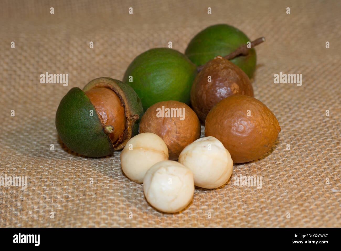 Sgusciate e senza guscio di noci di macadamia Foto Stock