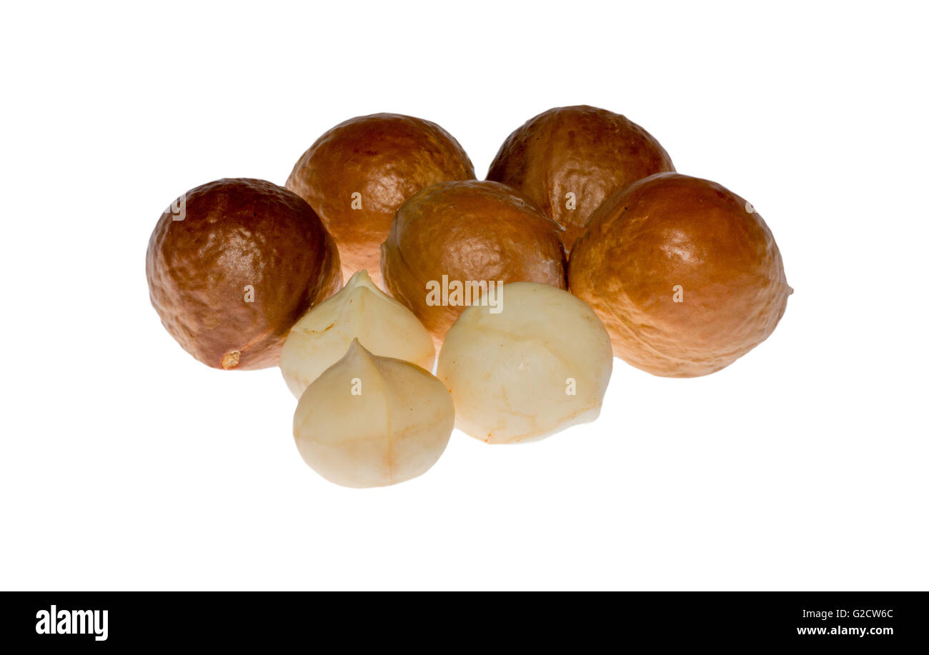 Sgusciate e senza guscio di noci di macadamia isolati su sfondo bianco Foto Stock
