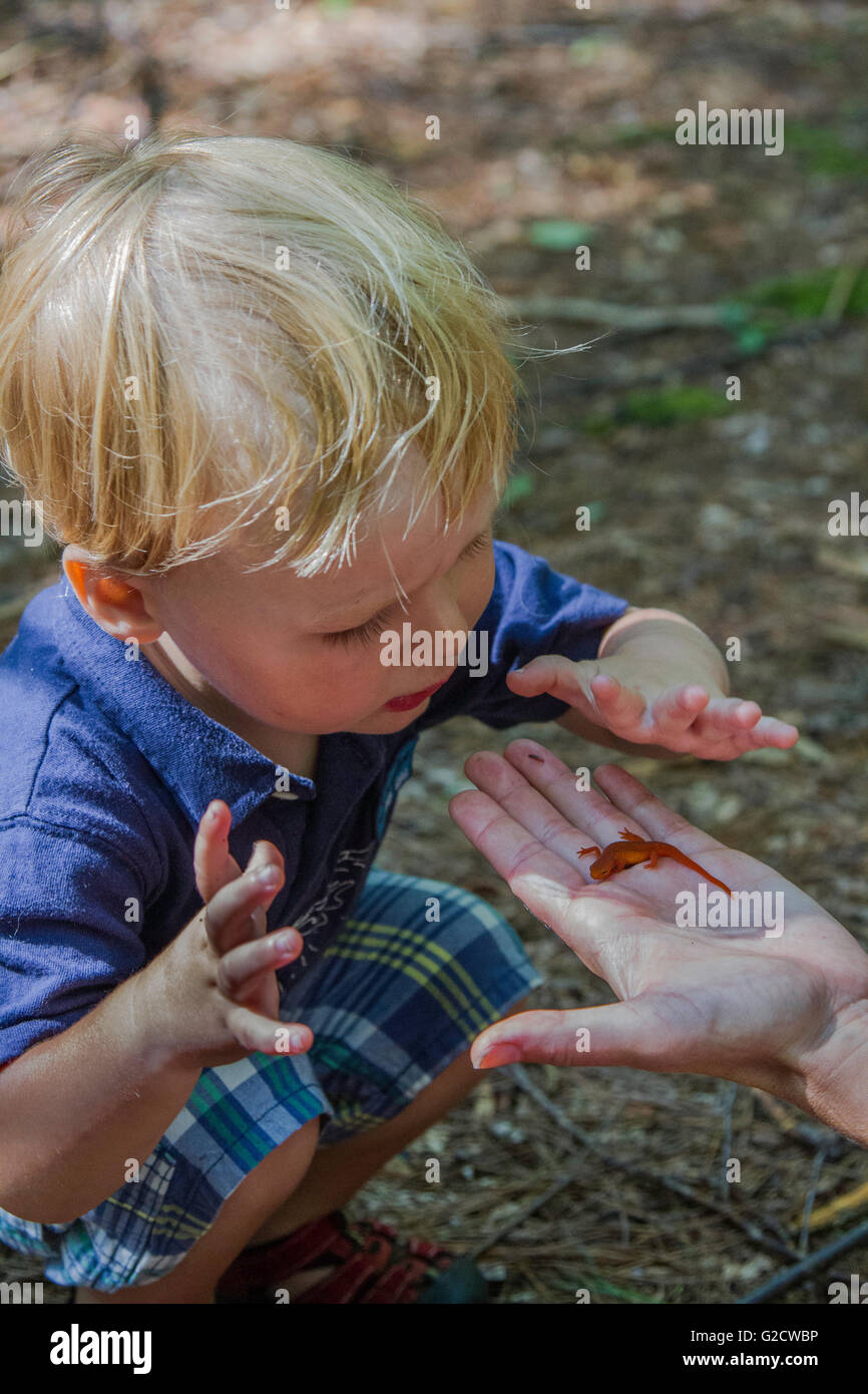 Little Boy guardando una salamandra in sua madre la mano Foto Stock