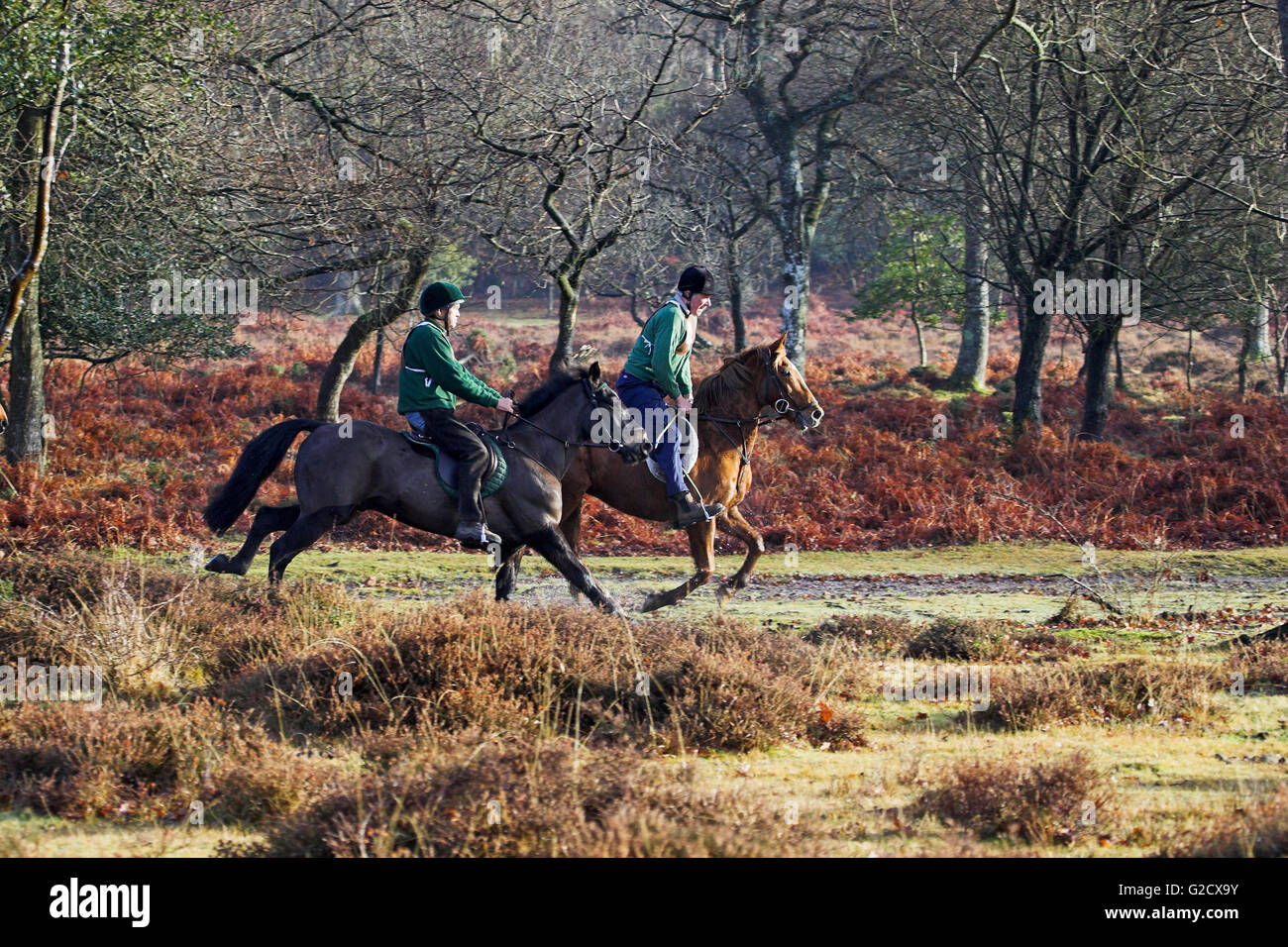 Piloti inizio il miglio e mezzo start Boxing Day punto-punto rosso luogo vicino a Burley New Forest National Park Hampshire Eng Foto Stock