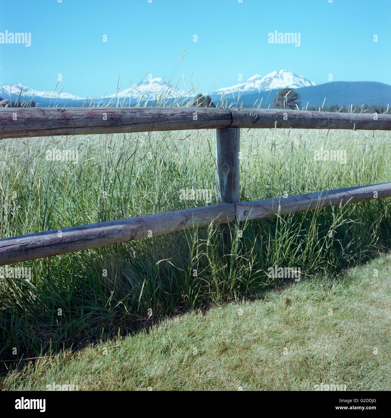 Recinzione rurale con le montagne sullo sfondo, Oregon, Stati Uniti d'America Foto Stock