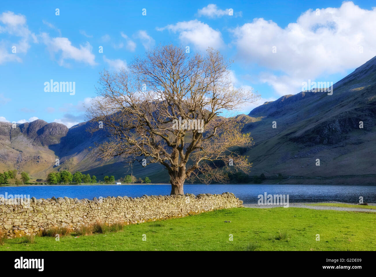 Buttermere, Lake District, Cumbria, England, Regno Unito Foto Stock