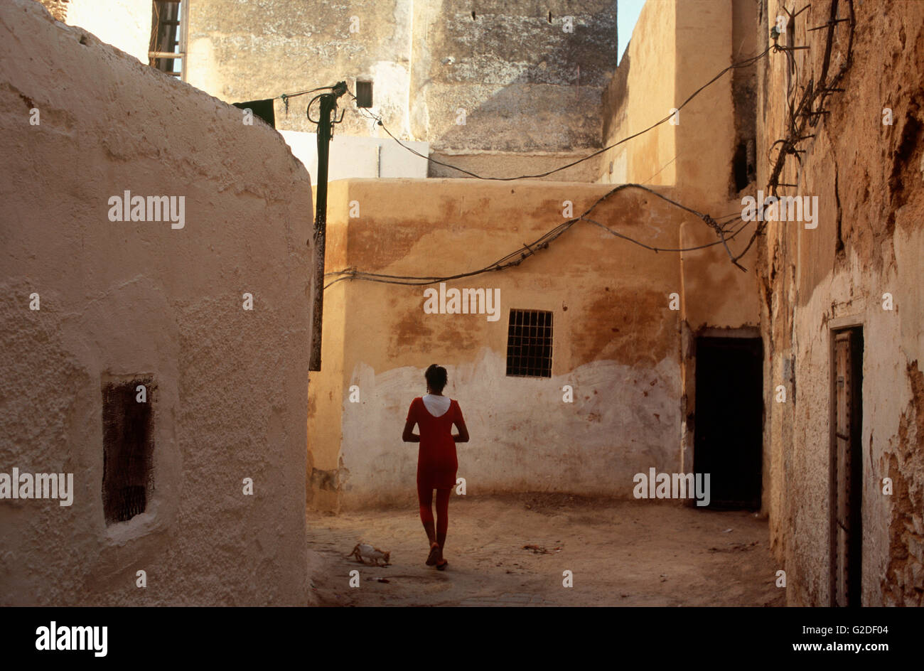 Ragazza e gatto nel vicolo, vista posteriore, Fes, Marocco Foto Stock