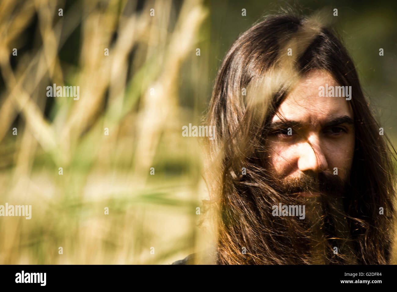 Ritratto di giovane uomo adulto con barba e capelli lunghi in piedi nel campo di grano Foto Stock