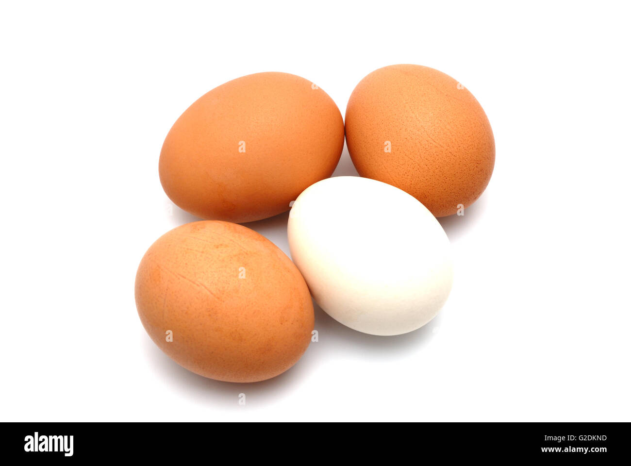 Quattro uova di pollo su uno sfondo bianco largly Foto Stock