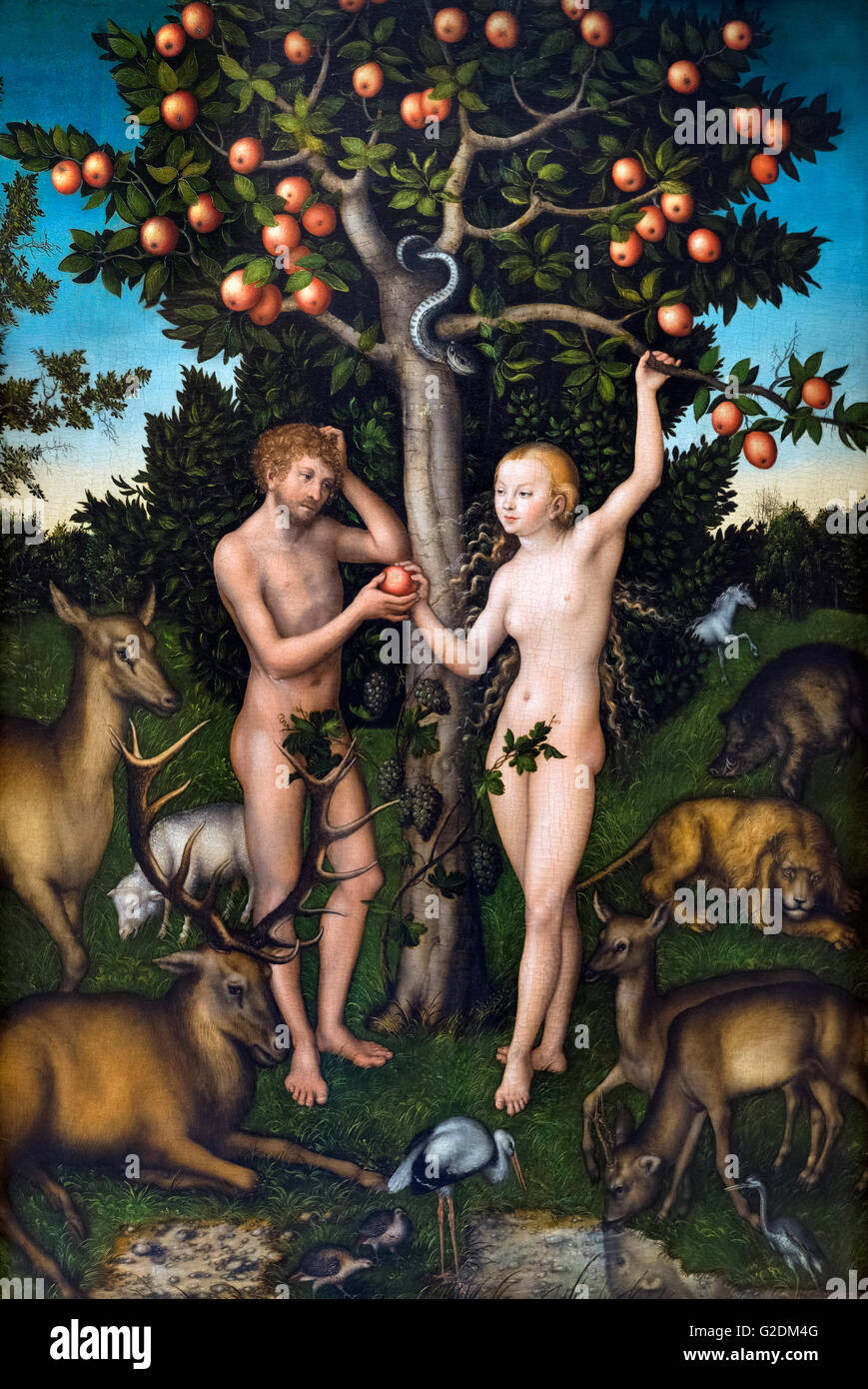 Adamo ed Eva da Lucas Cranach il Vecchio, olio su pannello, 1526. Foto Stock