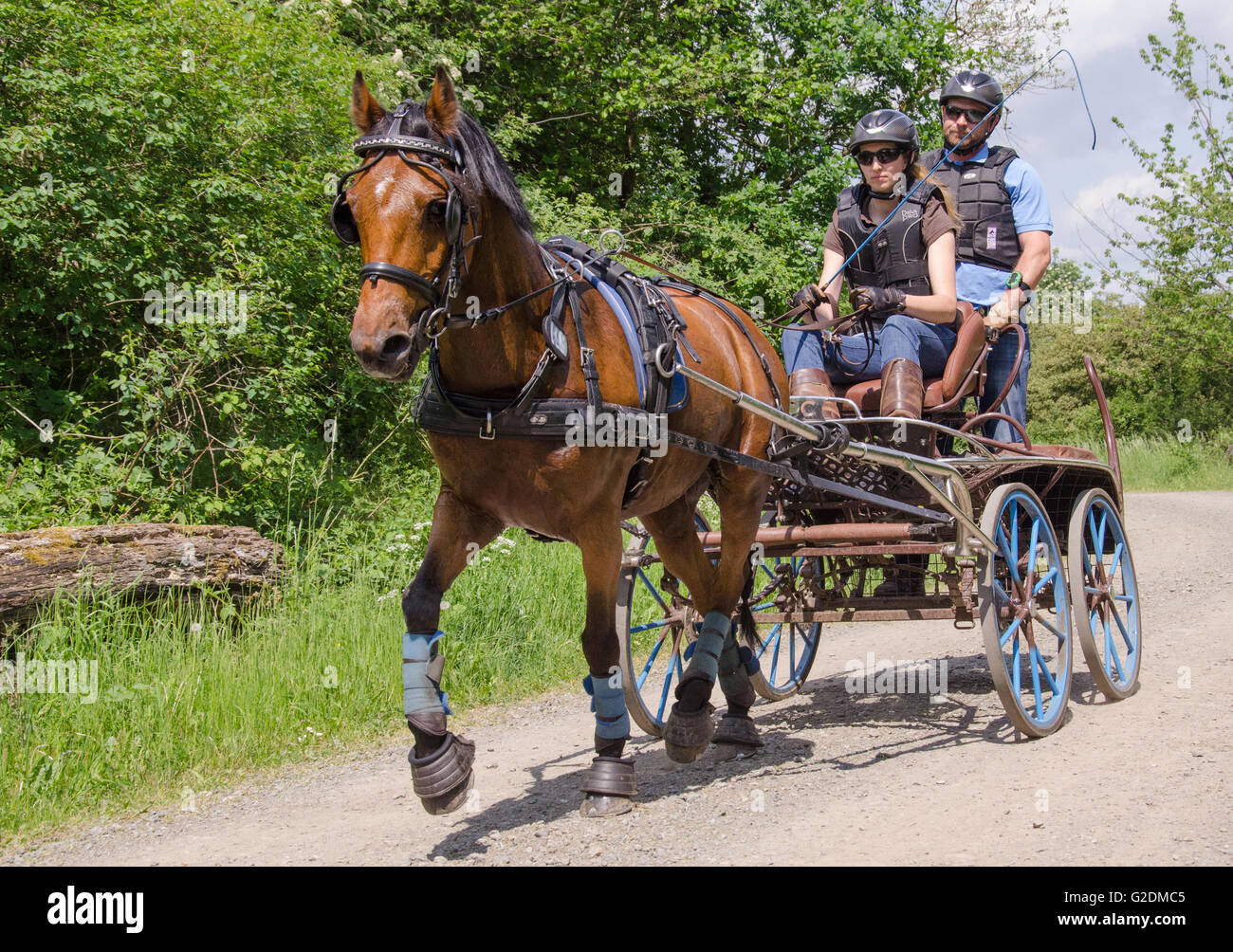 Carrozza pullman tra le stazioni di gara presso il corso del terreno le gare a Dillenburg in Germania Foto Stock