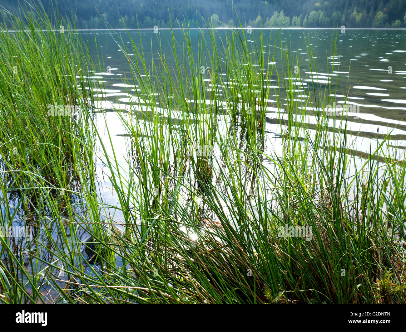 Lago di montagna Foto Stock