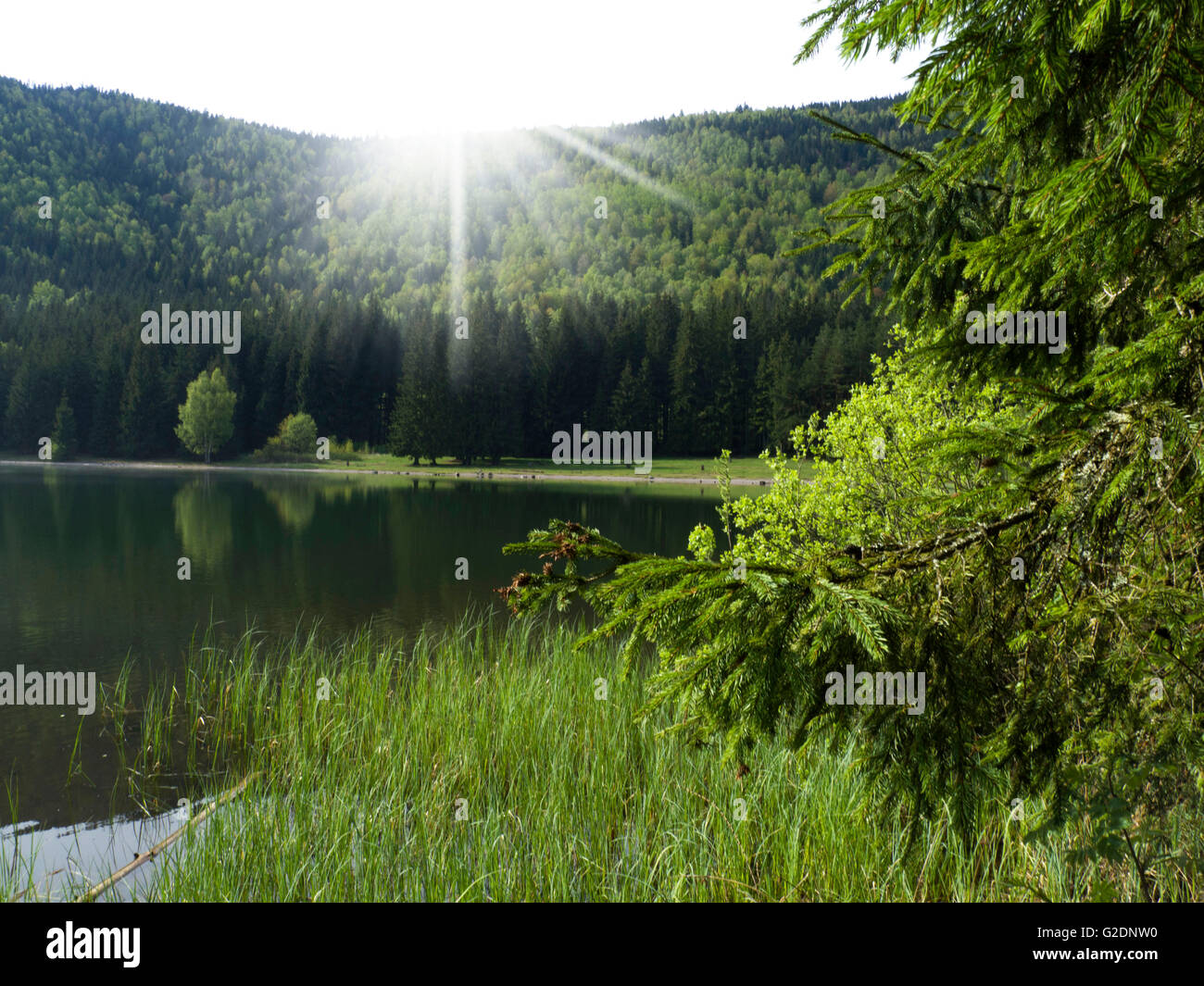Lago di montagna Foto Stock