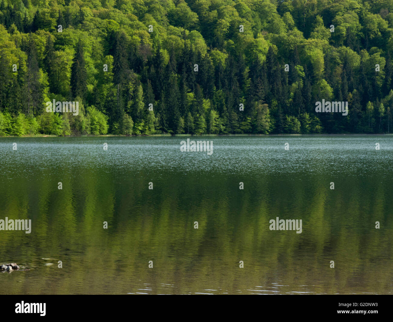 Lago di montagna Foto Stock
