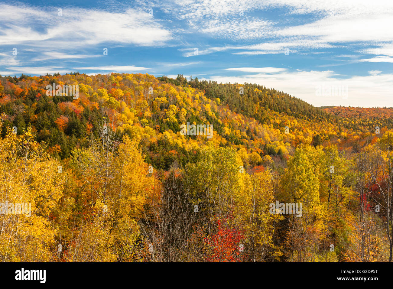 Valley con i colori dell'autunno, Montagne Adirondack, New York, Stati Uniti Foto Stock
