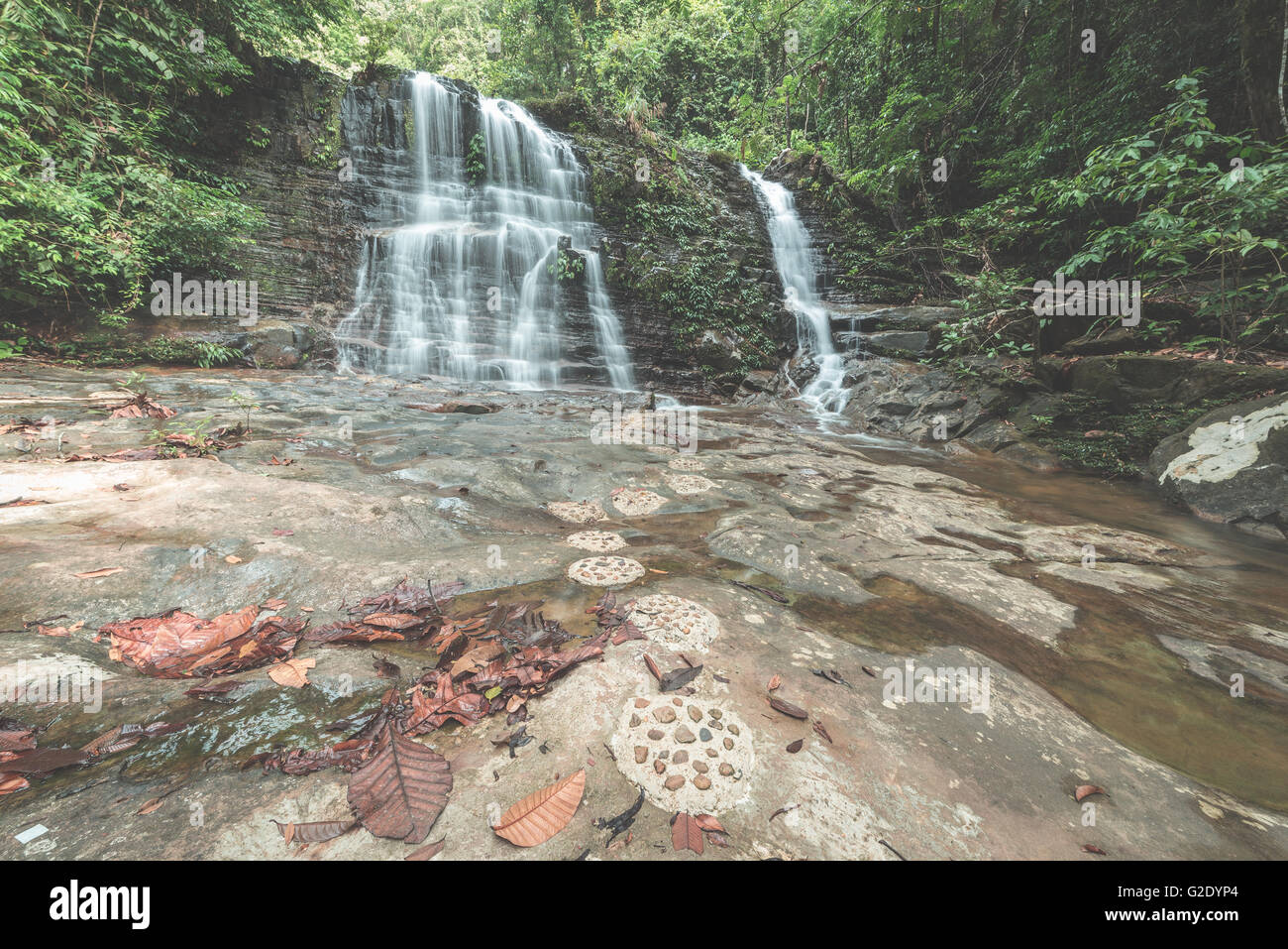 Maestose cascate nella densa foresta pluviale di Kubah National Park, West Sarawak, Borneo Malese. Ampio angolo di vista dal basso. D Foto Stock